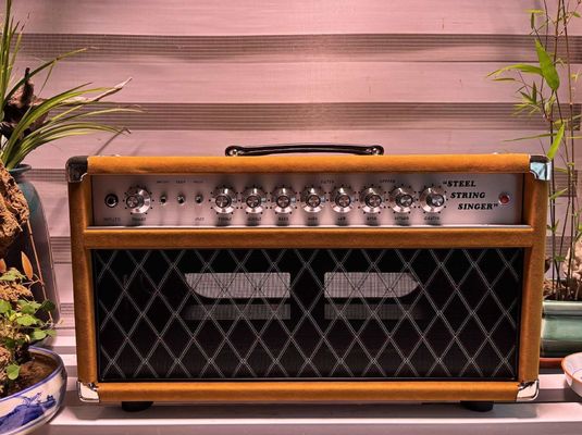 China. Cabeza de cantante de cuerda de acero de acero 20W 50W 100W con color marrón sueco, gran amplificador modelo SSS proveedor