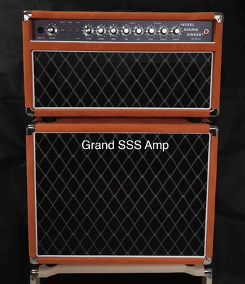 SSS20+112 con Celestion V30 o G12-65 altavoz rojo suede o púrpura ambos disponibles Acepta amplificador OEM proveedor