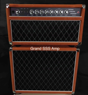 SSS20+112 con Celestion V30 o G12-65 altavoz rojo suede o púrpura ambos disponibles Acepta amplificador OEM proveedor