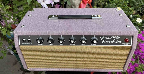 Capítulo y combo de amplificador de guitarra eléctrica de Princeton. proveedor