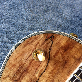 Nueva guitarra eléctrica LP de alta calidad, Abalone Dinosaur incrustada en el panel y el cuerpo de la guitarra eléctrica LP, gratis. proveedor