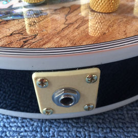 Nueva guitarra eléctrica LP de alta calidad, Abalone Dinosaur incrustada en el panel y el cuerpo de la guitarra eléctrica LP, gratis. proveedor