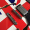 Cuerpo hueco guitarra eléctrica de jazz, bandera británica Rosewood Fingerboard guitarra eléctrica proveedor