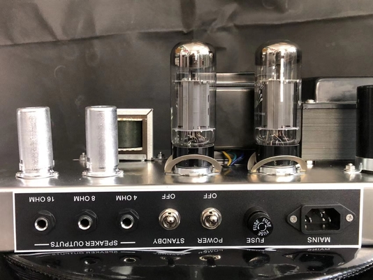 Gran bajista personalizado Cabeza de reverberación 1964 1965 Amplificador Bajo Tubo Amp Vintage Raro proveedor