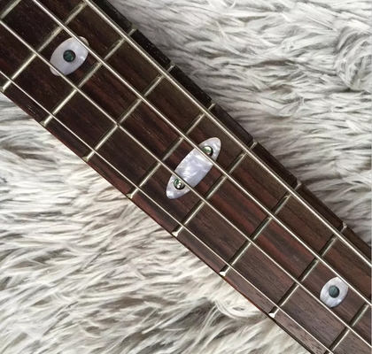 4 cuerdas personalizadas Cuello a través del cuerpo Alembico estilo Bajo eléctrico Guitarra de árbol Burl Top proveedor