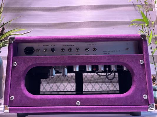 Cabeza de cantante de cuerda de acero de acero 20W 50W 100W con color suedo, gran amplificador modelo SSS proveedor