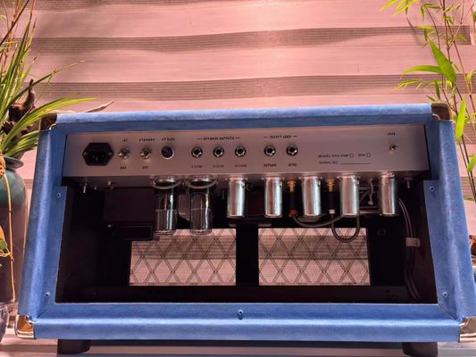 Cabeza de cantante de cuerda de acero de acero 20W 50W 100W con color suedo, gran amplificador modelo SSS proveedor