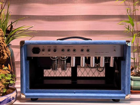 Cabeza de cantante de cuerda de acero de acero 20W 50W 100W con color suedo, gran amplificador modelo SSS proveedor