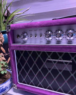 Cabeza de cantante de cuerda de acero de acero 20W 50W 100W con color suedo, gran amplificador modelo SSS proveedor