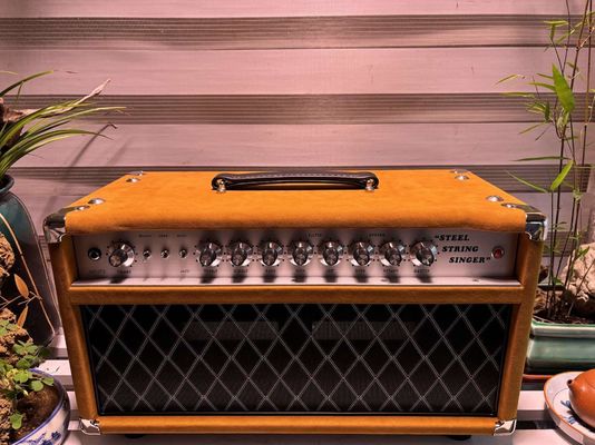 Cabeza de cantante de cuerda de acero de acero 20W 50W 100W con color marrón sueco, gran amplificador modelo SSS proveedor