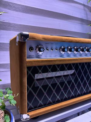 Cabeza de cantante de cuerda de acero de acero 20W 50W 100W con color marrón sueco, gran amplificador modelo SSS proveedor