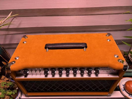 Cabeza de cantante de cuerda de acero de acero 20W 50W 100W con color marrón sueco, gran amplificador modelo SSS proveedor