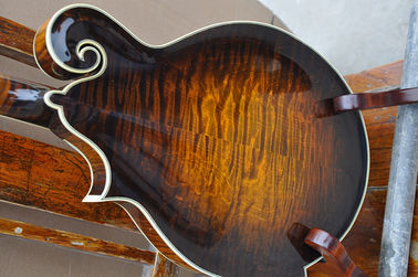 Guitarra eléctrica de mandolina QT-F5 de 8 cuerdas avanzada hecha a mano con tablero de ébano proveedor