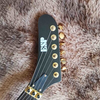 La guitarra eléctrica ESP personalizada de Toshihiko Takamizawa proveedor
