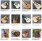Guitarra OEM personalizada de 41 pulgadas de madera de abeto sólido de estilo D45f Guitarra acústica hecha a mano con pick-up 301 fishman proveedor