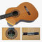 Yulong Guo A-Echoes marca todo sólido Nomex doble de alta cuerda de nylon guitarra clásica proveedor